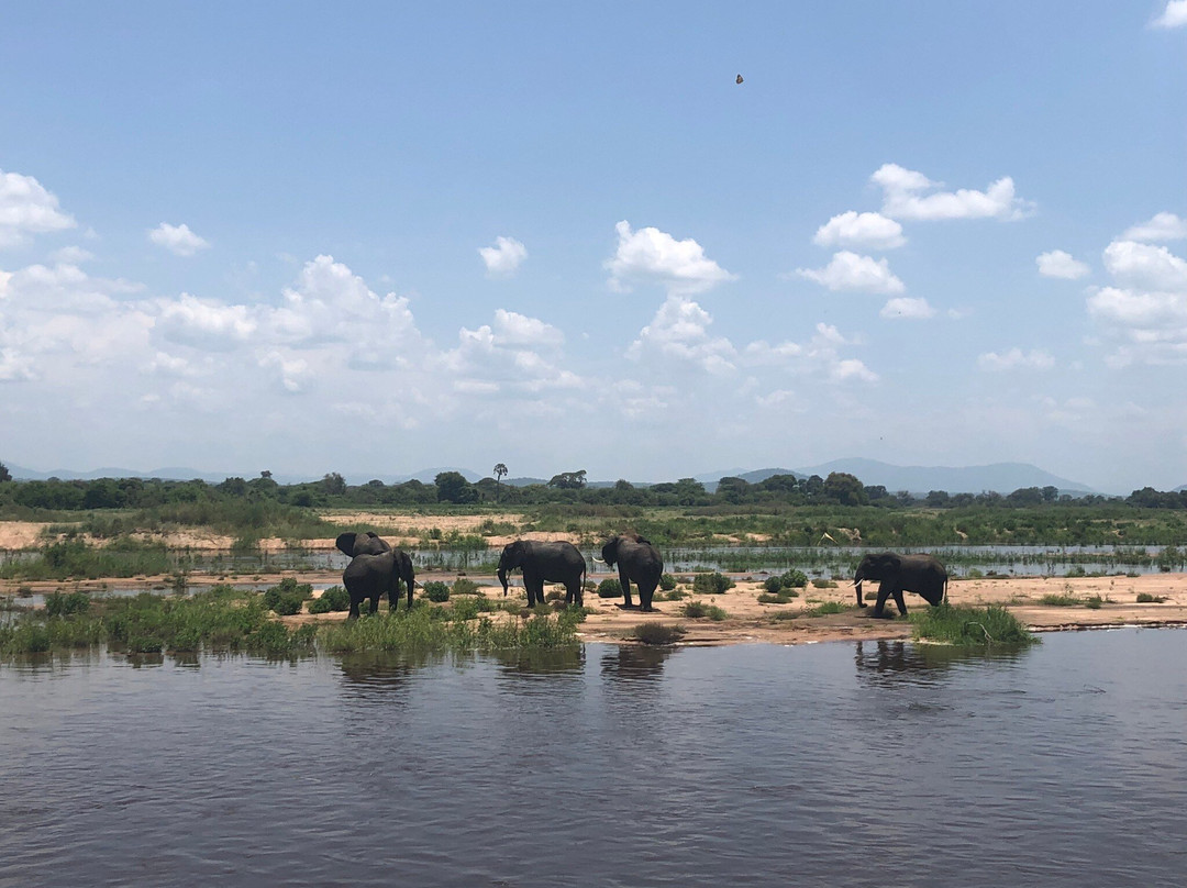 MATEMBO SAFARIS AND TOURS-阿鲁沙必去景点