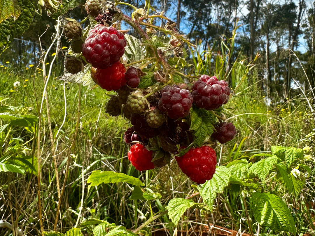 Canyonleigh Retreat主图