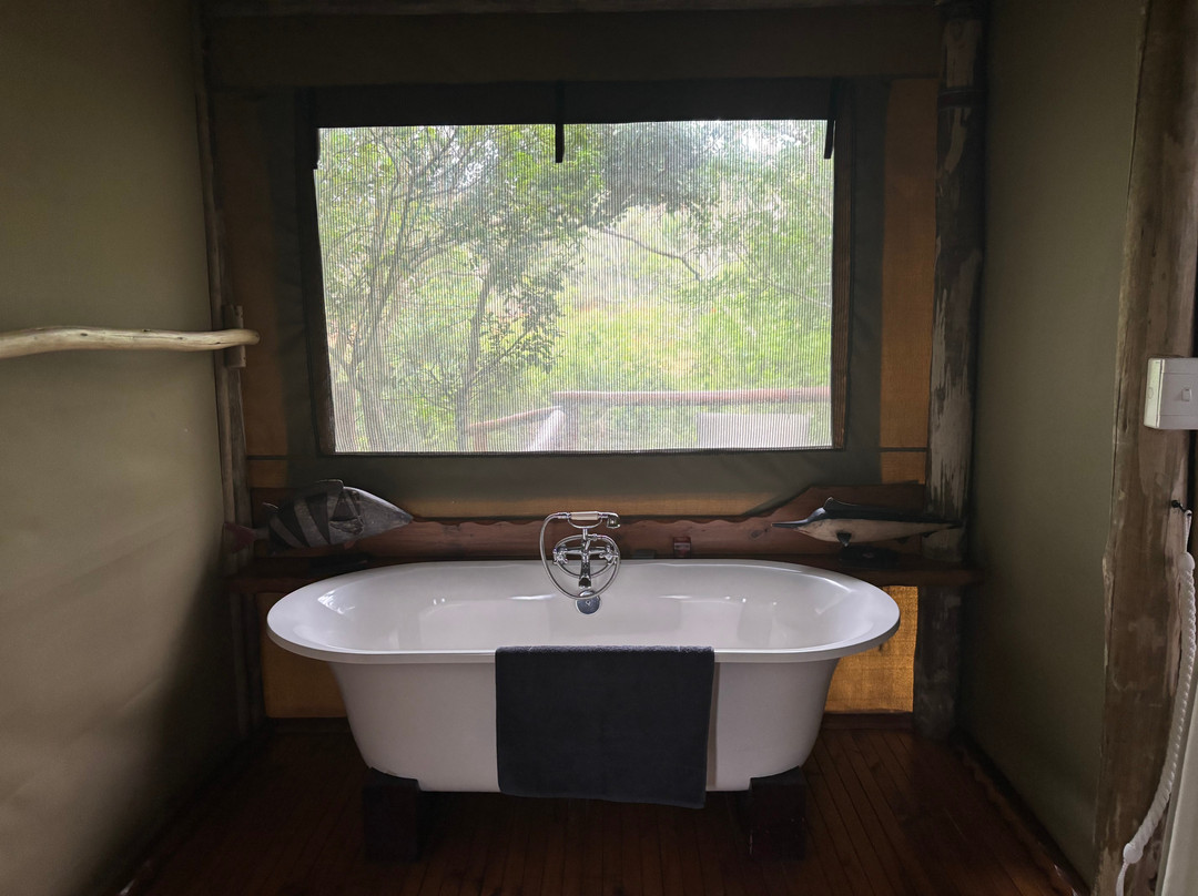 Sibuya Game Reserve - Private Day Trips-Kenton-on-Sea必去景点