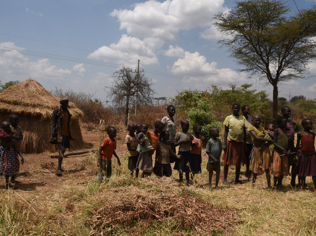 Uganda Wildlife Scene Safaris-坎帕拉必去景点