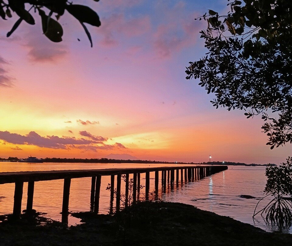 Sari Dive & Cottage景点图片