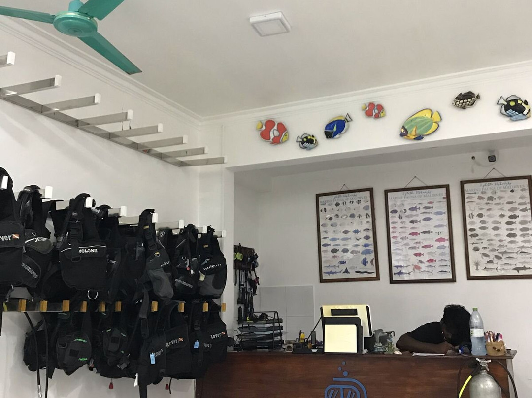 Fathu Dives & Excursion Center景点图片