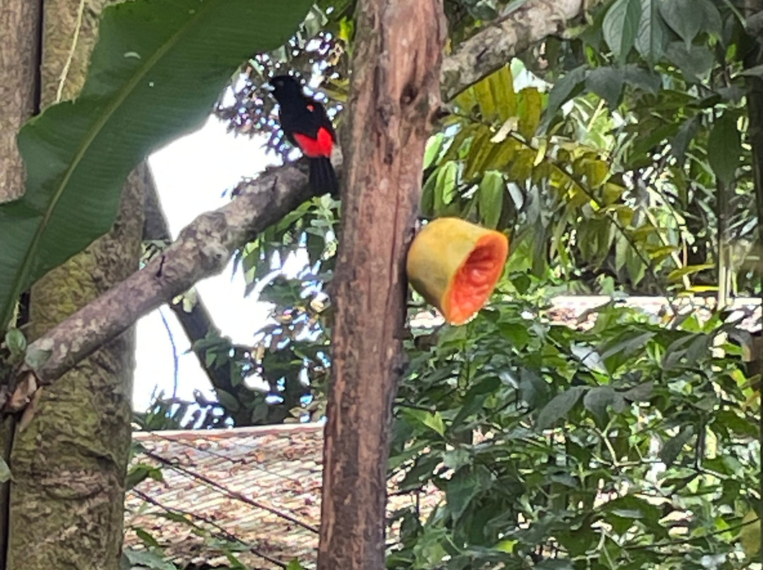 Posada Andrea Cristina主图