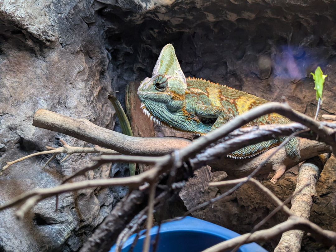 Mertailor's Mermaid Aquarium Encounter