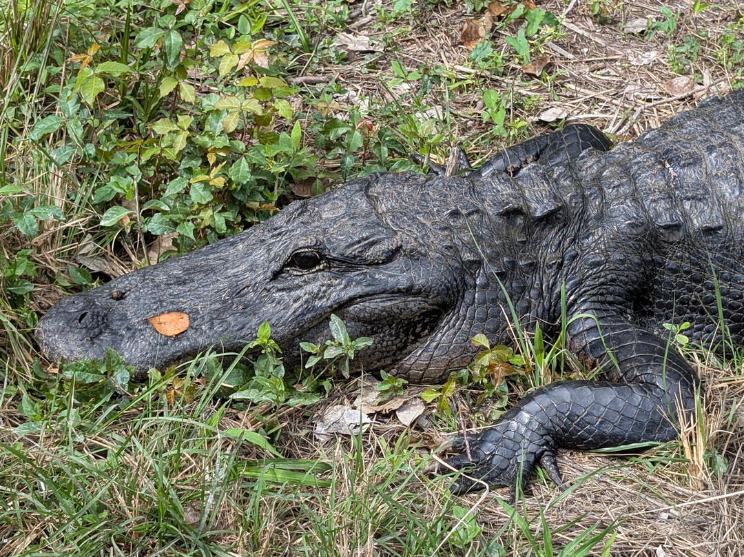 Loop Road-奥乔皮必去景点