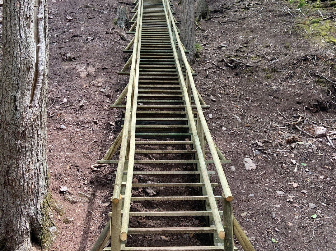 Victoria Park-Truro必去景点