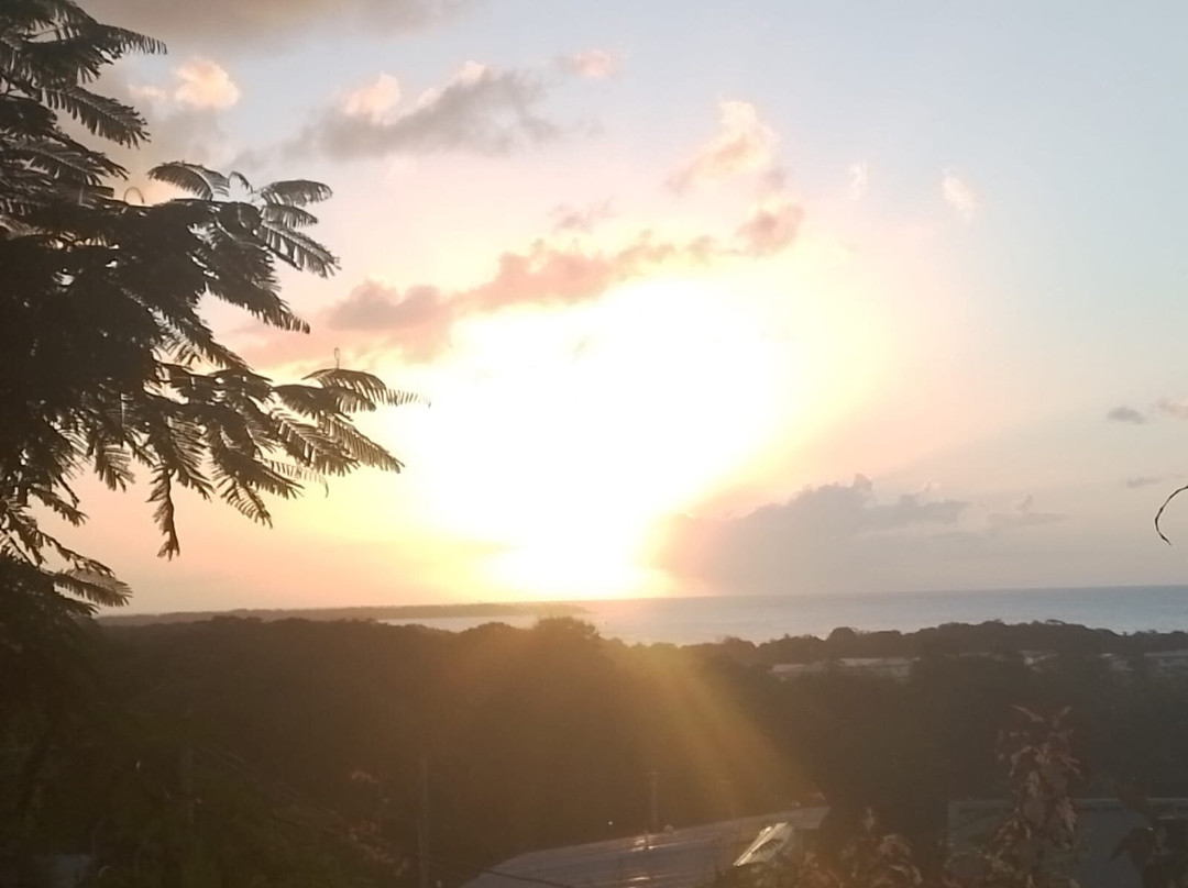The Nest Tobago Apartments主图
