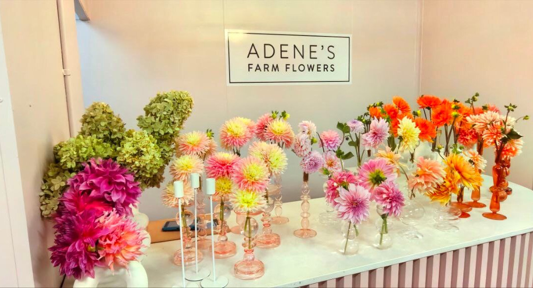 Adene's Farm Flowers景点图片
