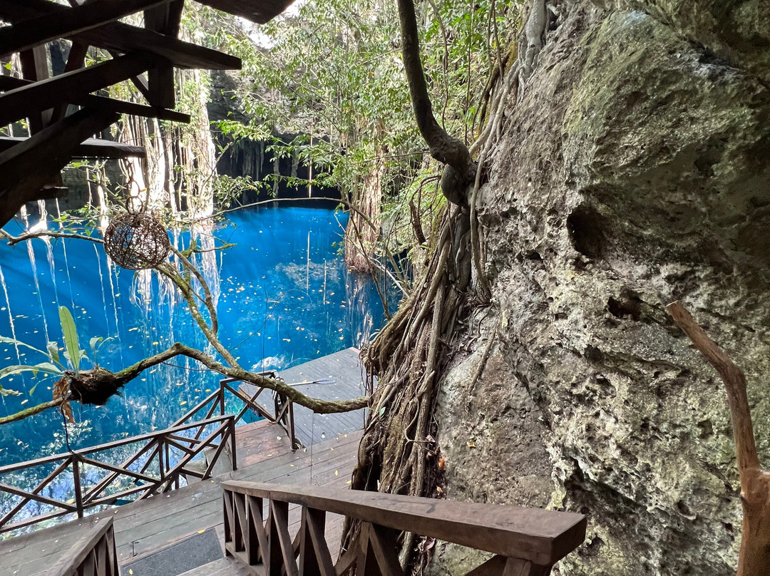 Experiencia Privada en Cenote Exclusivo景点图片