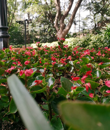 上海西郊宾馆西郊公寓酒店主图