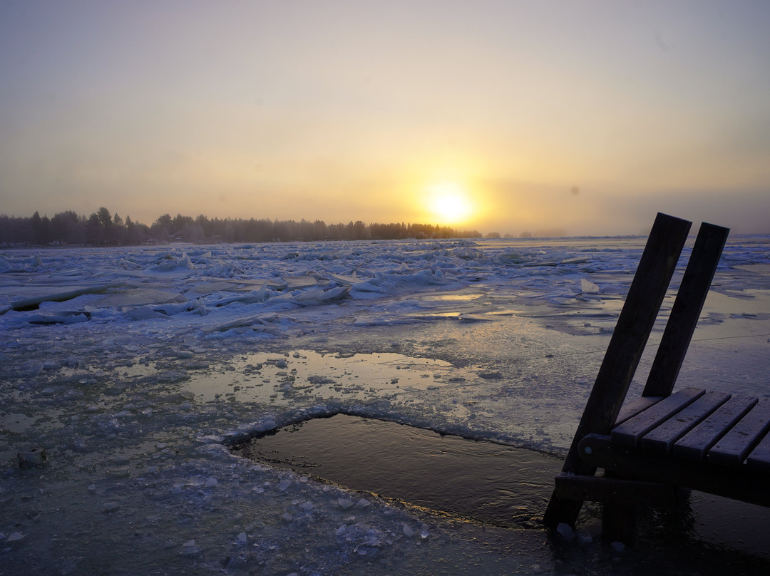 Hotelli Metsähirvas主图