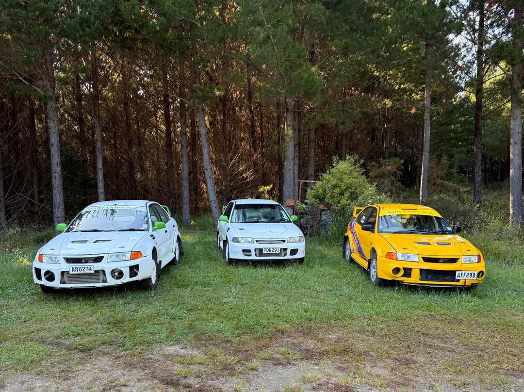 Rally Drive NZ-汉密尔顿必去景点