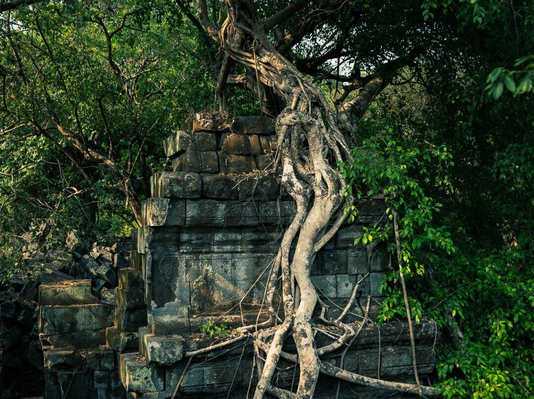 Angkor Photography Tours-暹粒必去景点