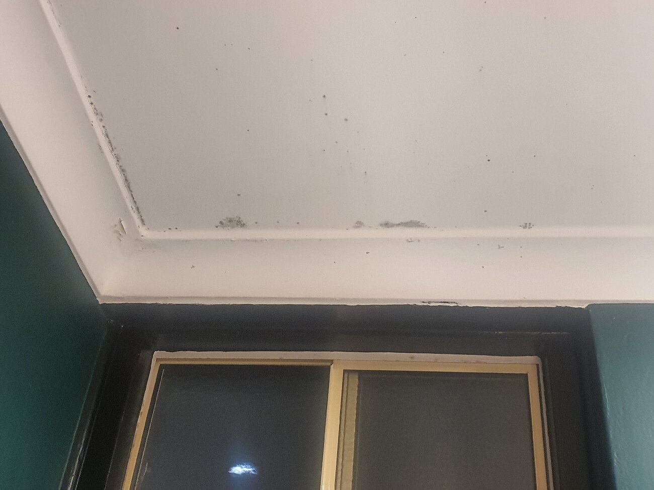 回声点汽车旅馆-官方