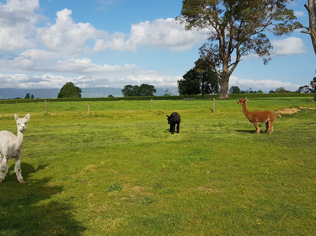 艺术屋家庭旅馆主图