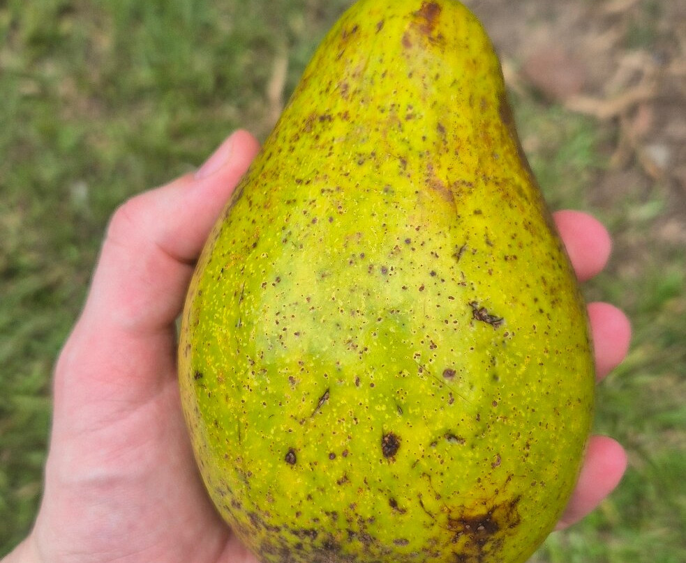 Association Afric Art-阿比让必去景点