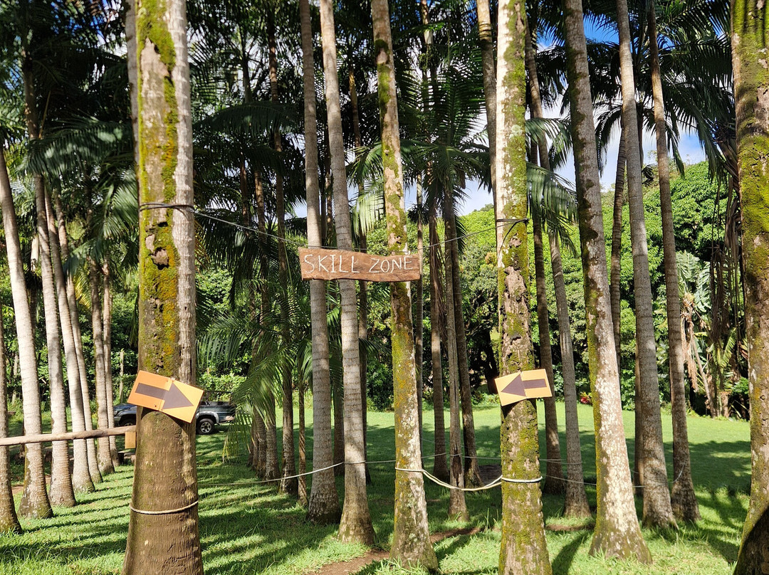 Mo'bike Park-Chamouny必去景点
