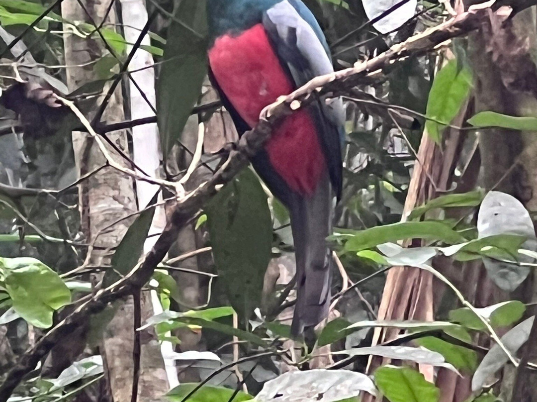 Panama Road Trips景点图片