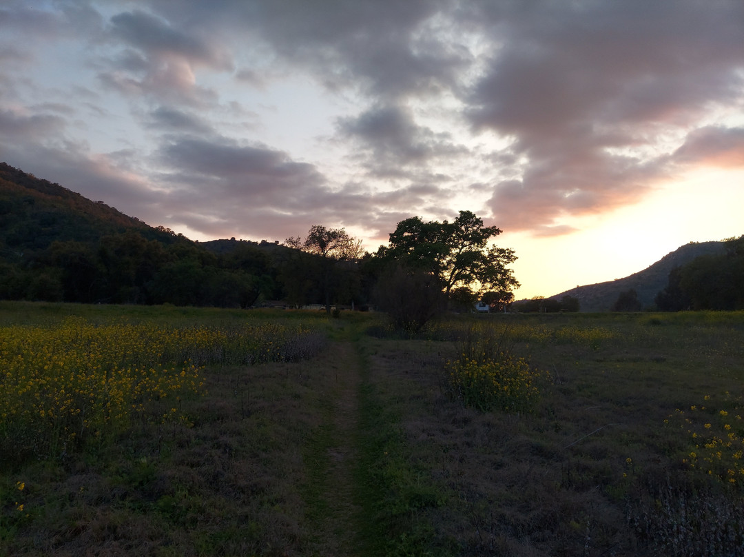 Lazy J Ranch Motel主图