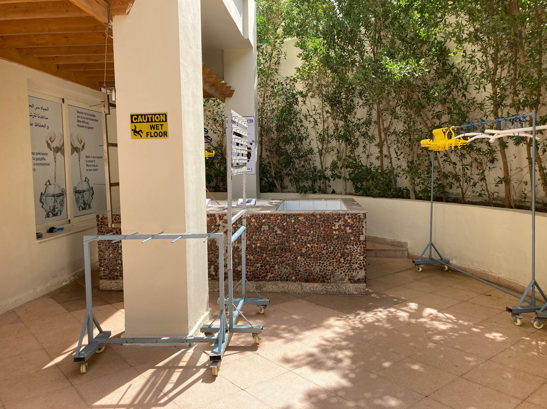 SUBEX Diving Center - Baron Palace-赫尔格达必去景点