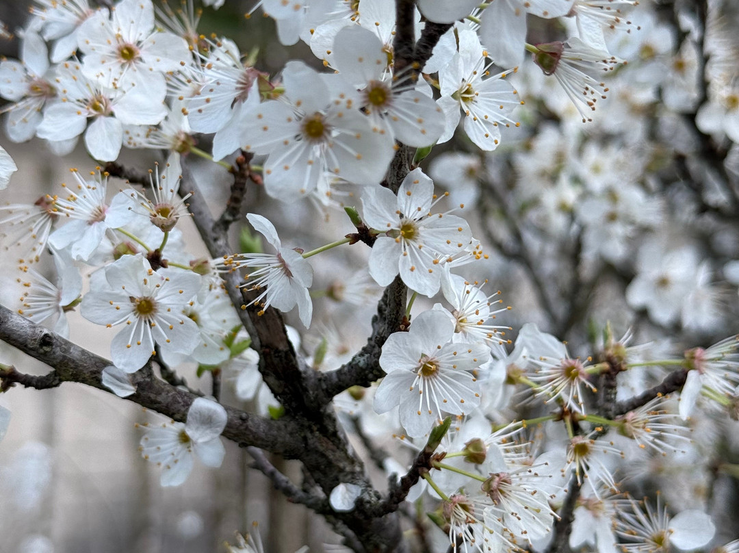 Tripsme-索契必去景点