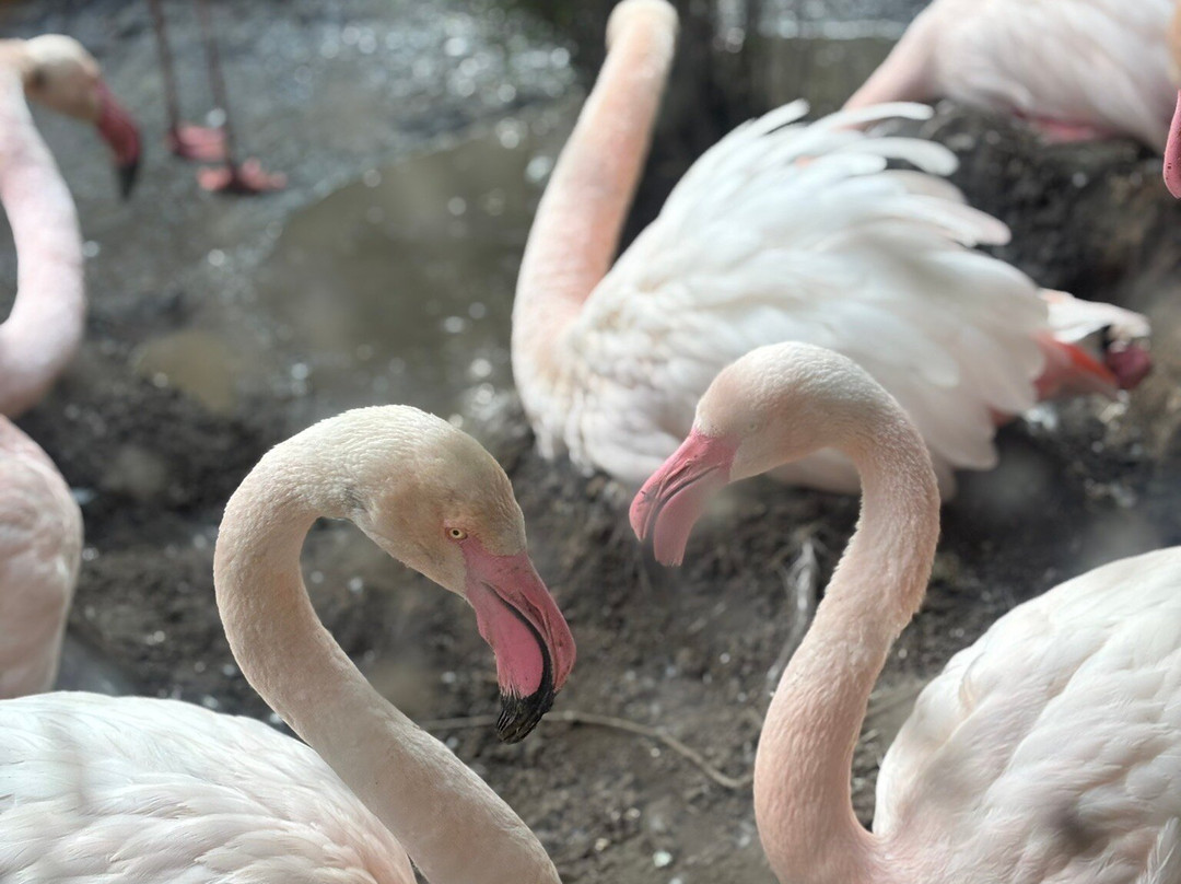 Zoologischer Garten Magdeburg-马格德堡必去景点