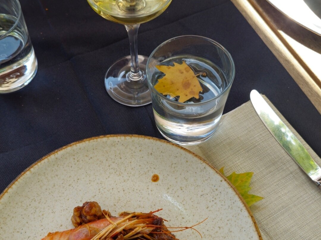 Caves Anna d’ Codorniu-桑特萨杜尔尼达诺亚必去景点