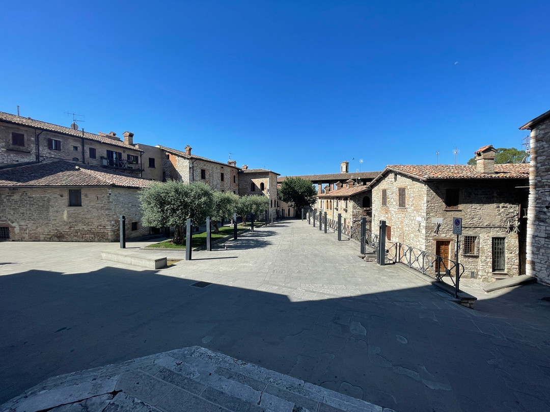 Agriturismo La Contessa Quarter Horse主图