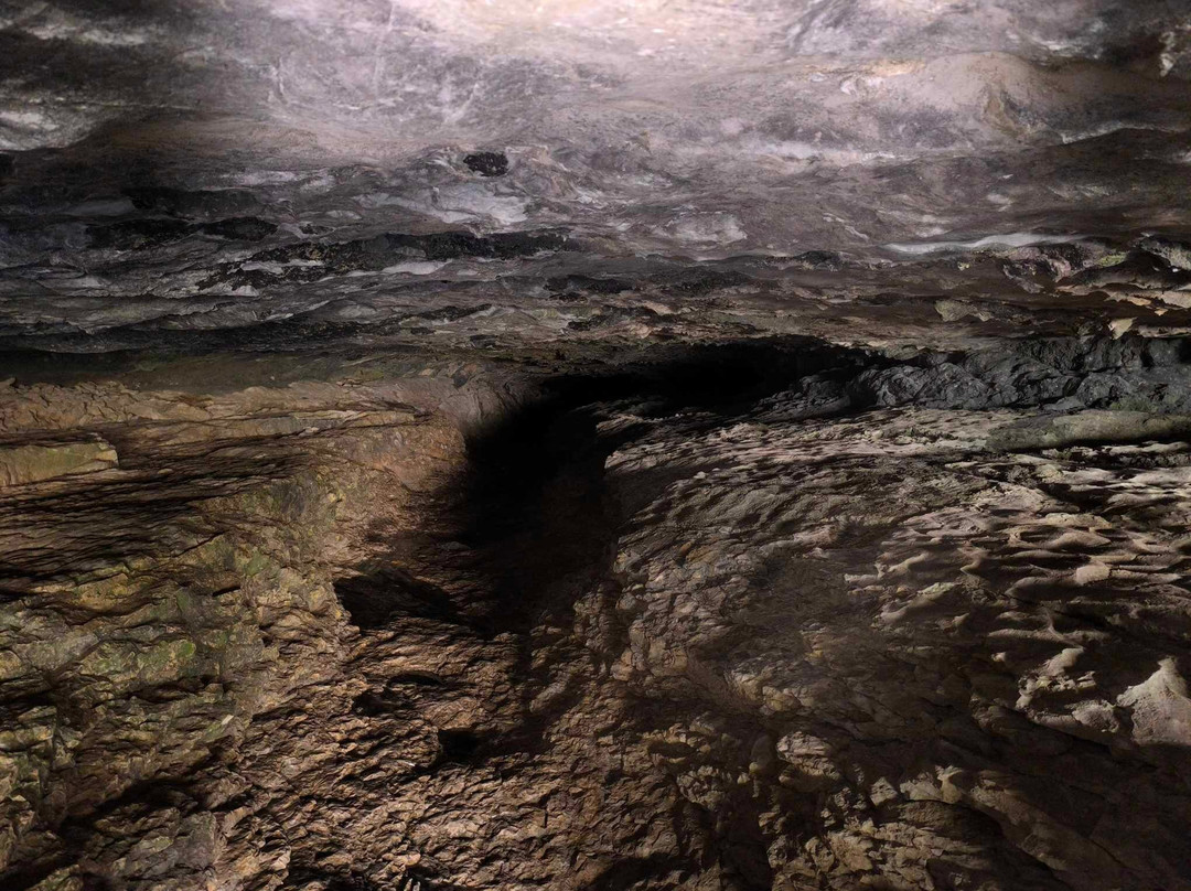 Grotte De Prérouge景点图片