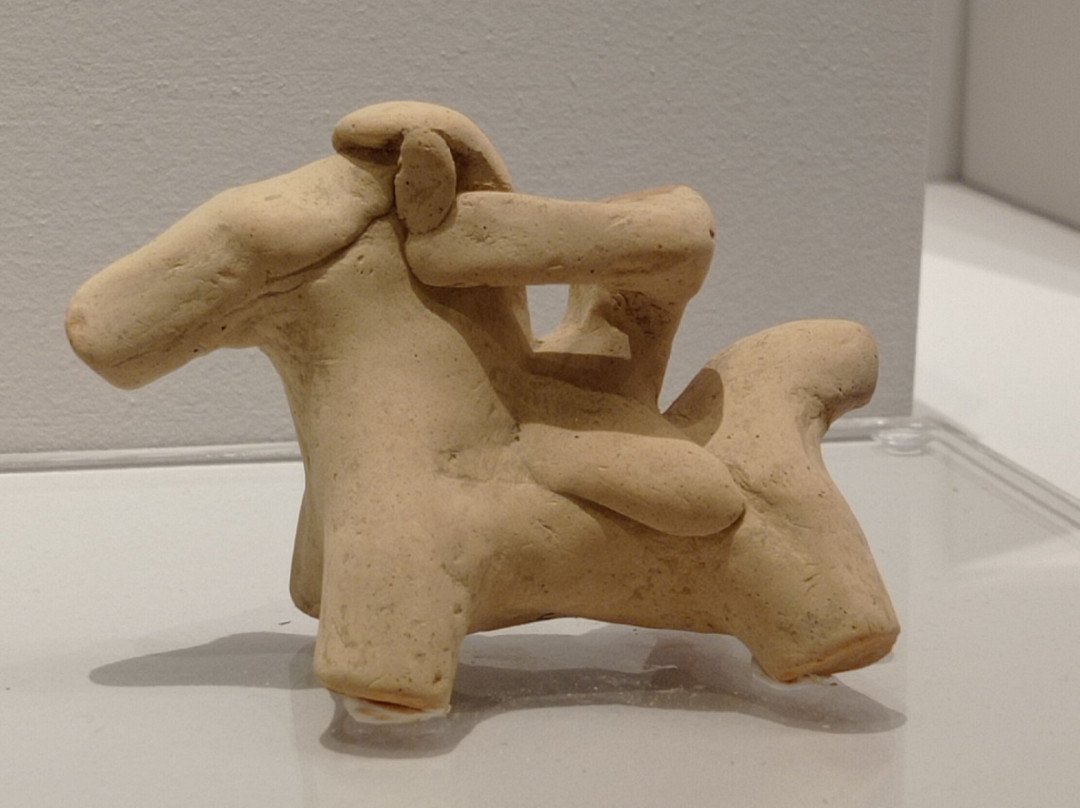 Xenokrateion Archaeological Museum of Messolonghi景点图片