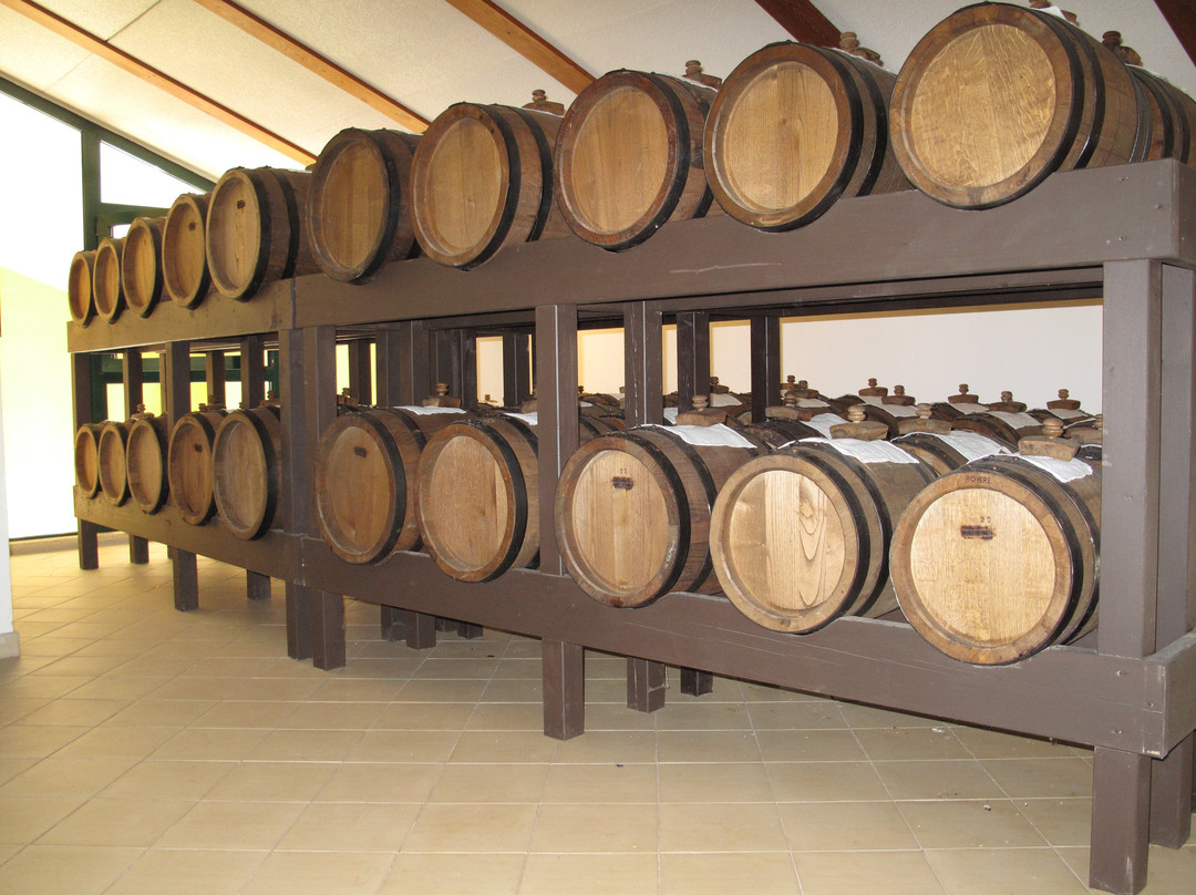 Acetaia Ducale Estense景点图片