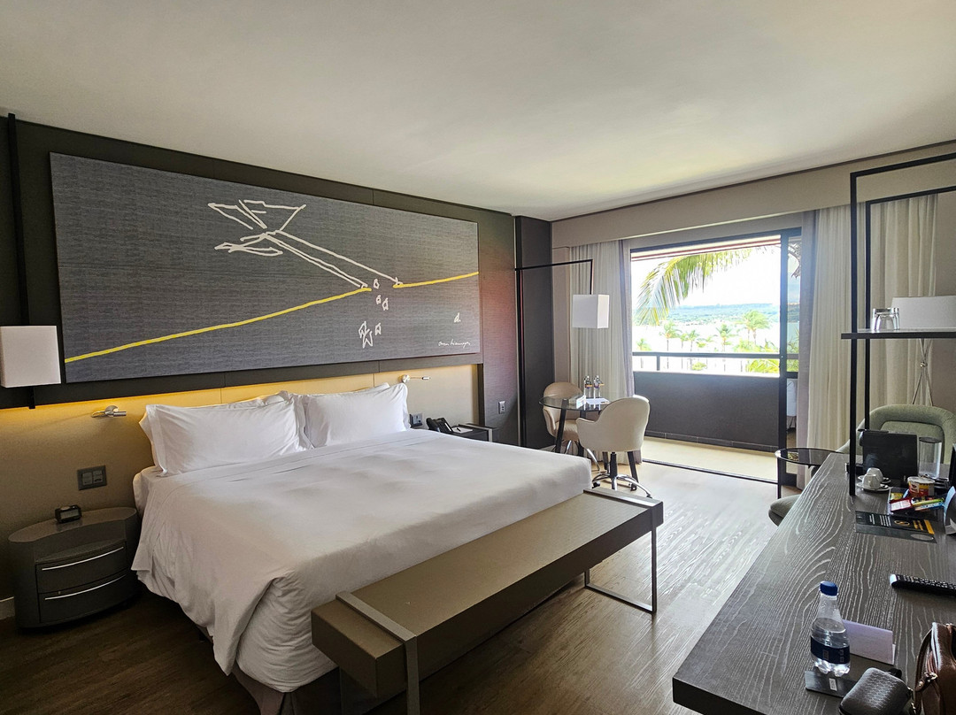 巴西利亚阿沃拉达金色郁金香酒店主图