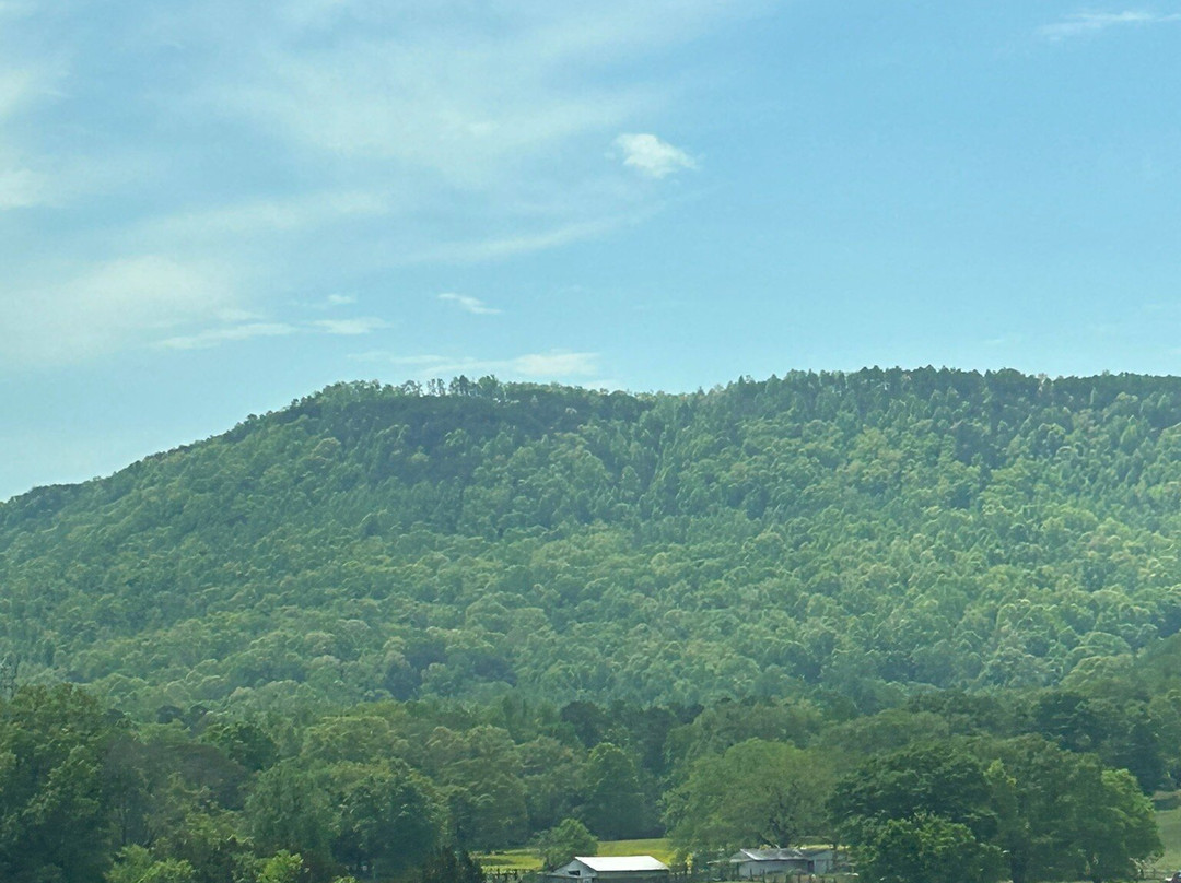 Shelby Rhinehart Bridge-South Pittsburg必去景点