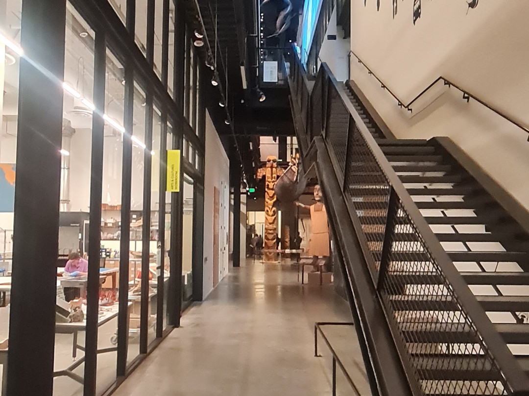 伯克自然历史和文化博物馆-西雅图必去景点