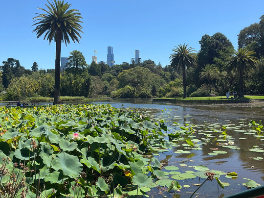Punting On The Lake-墨尔本必去景点