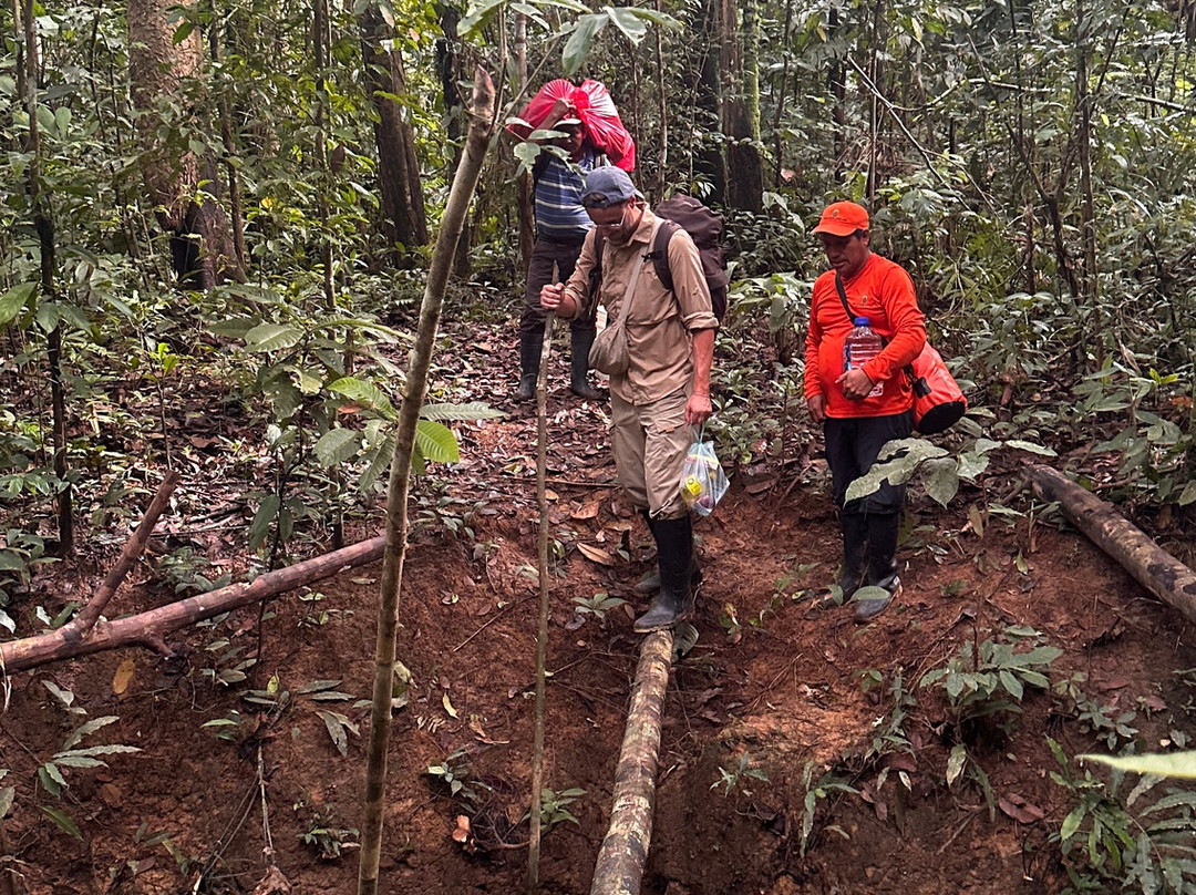 Amazon Maguta Jungle Lodge景点图片