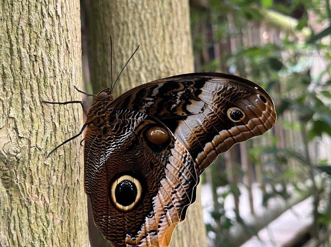 Le Carbet Amazonien-Velleron必去景点