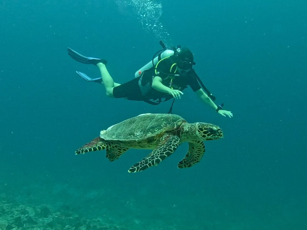 Euro-Divers Kagi-Kagi必去景点