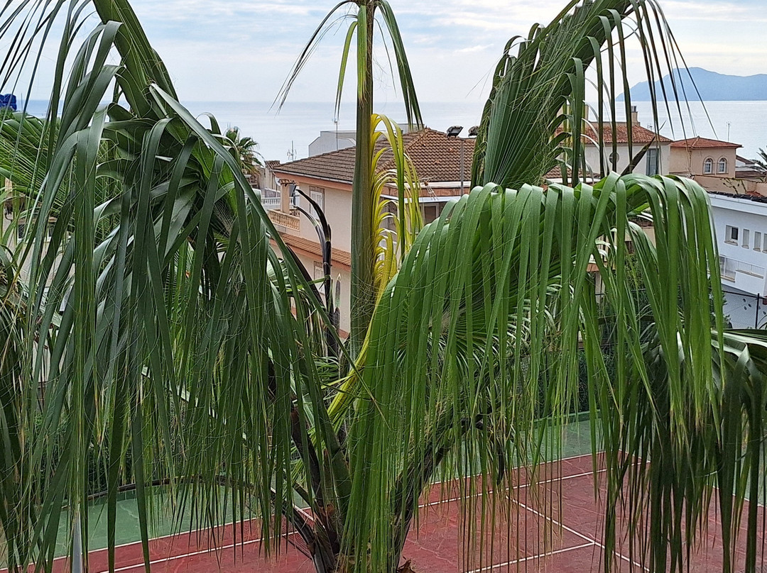 维斯塔公园酒店主图