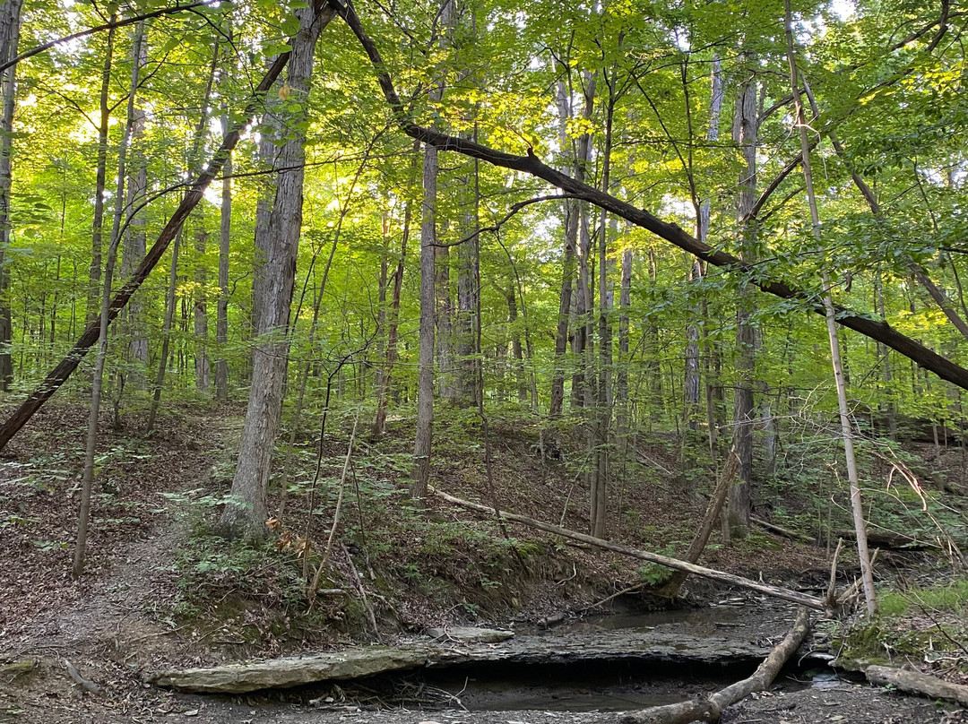 Mill Stream Run Reservation-克利夫兰必去景点