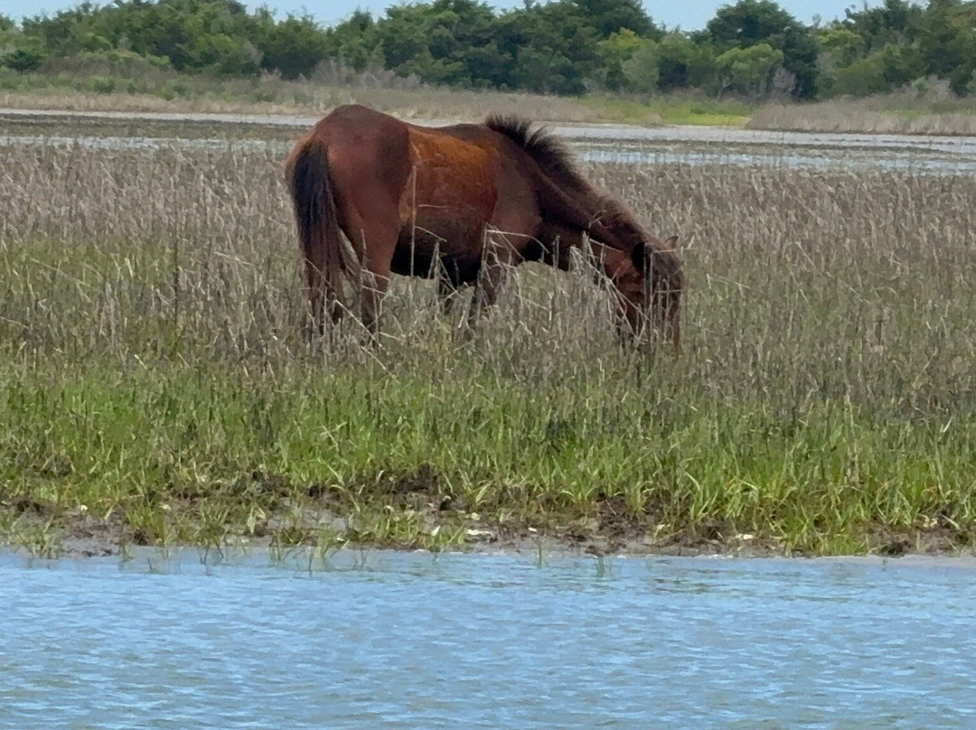 Crystal Coast Ecotours景点图片