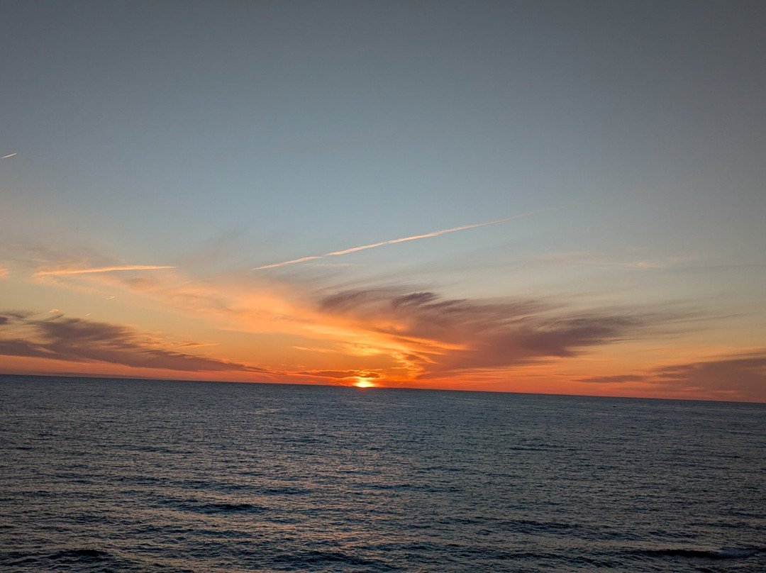 The Yellow Sidecar B & B主图