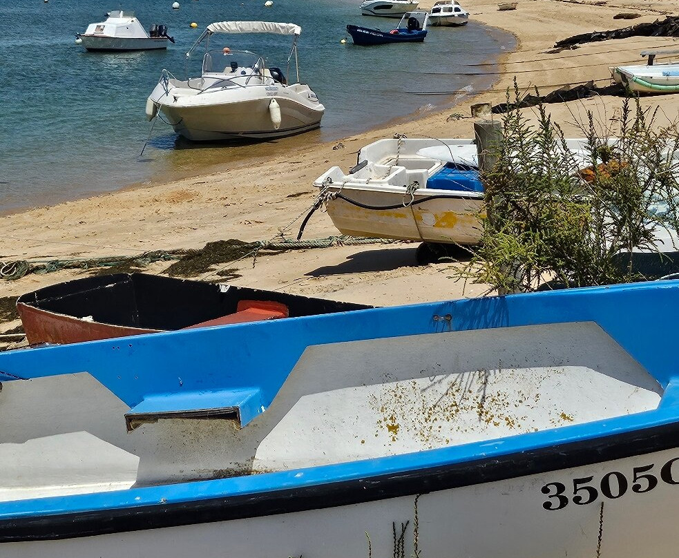 iSea Boat Charter-法罗必去景点