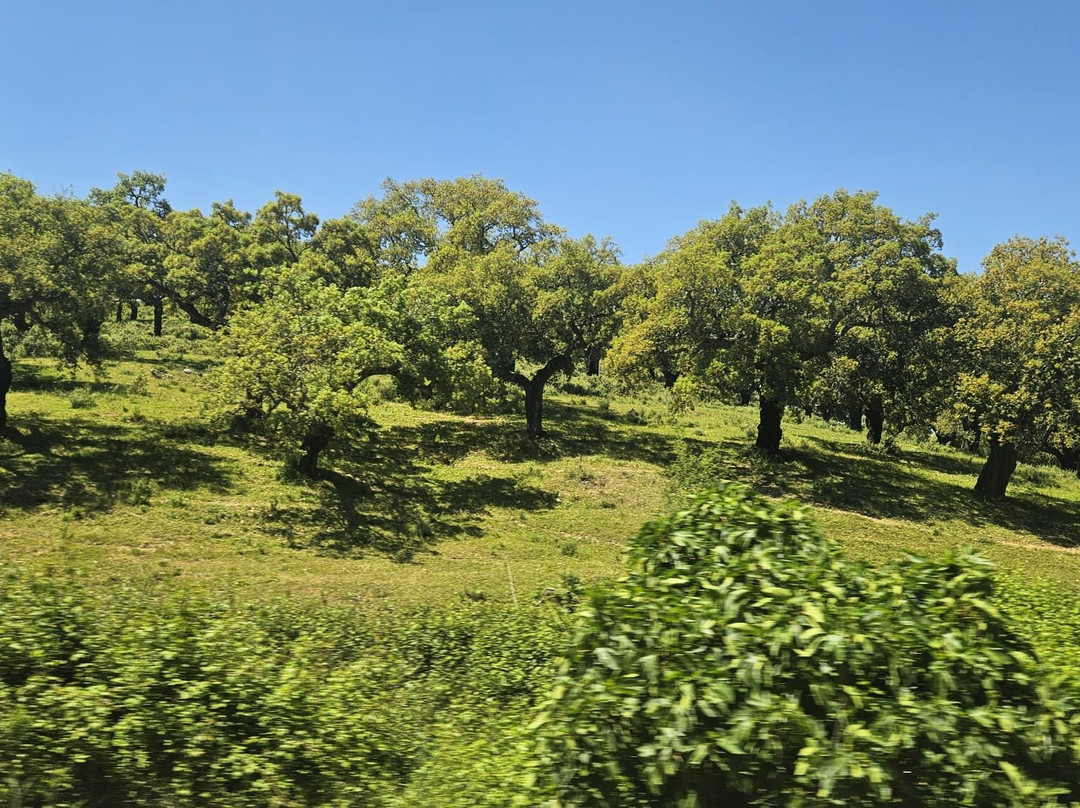 Eiriz Jamones & Embutidos De Bellota-Corteconcepcion必去景点