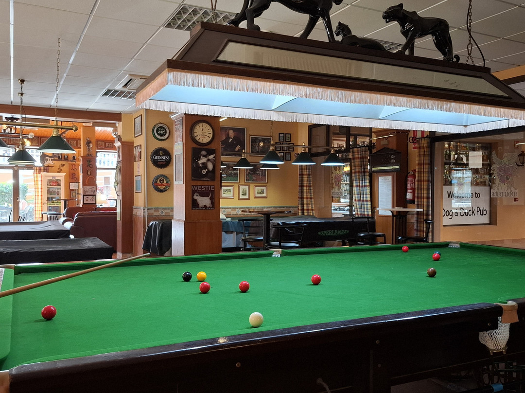 The Dog & Duck Pub-Caleta de Fuste必去景点