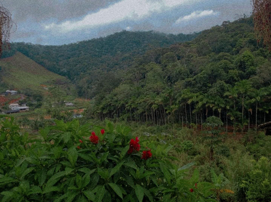 Recanto Primata主图