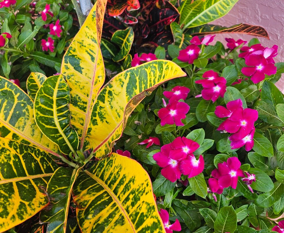 Edison Beach House主图