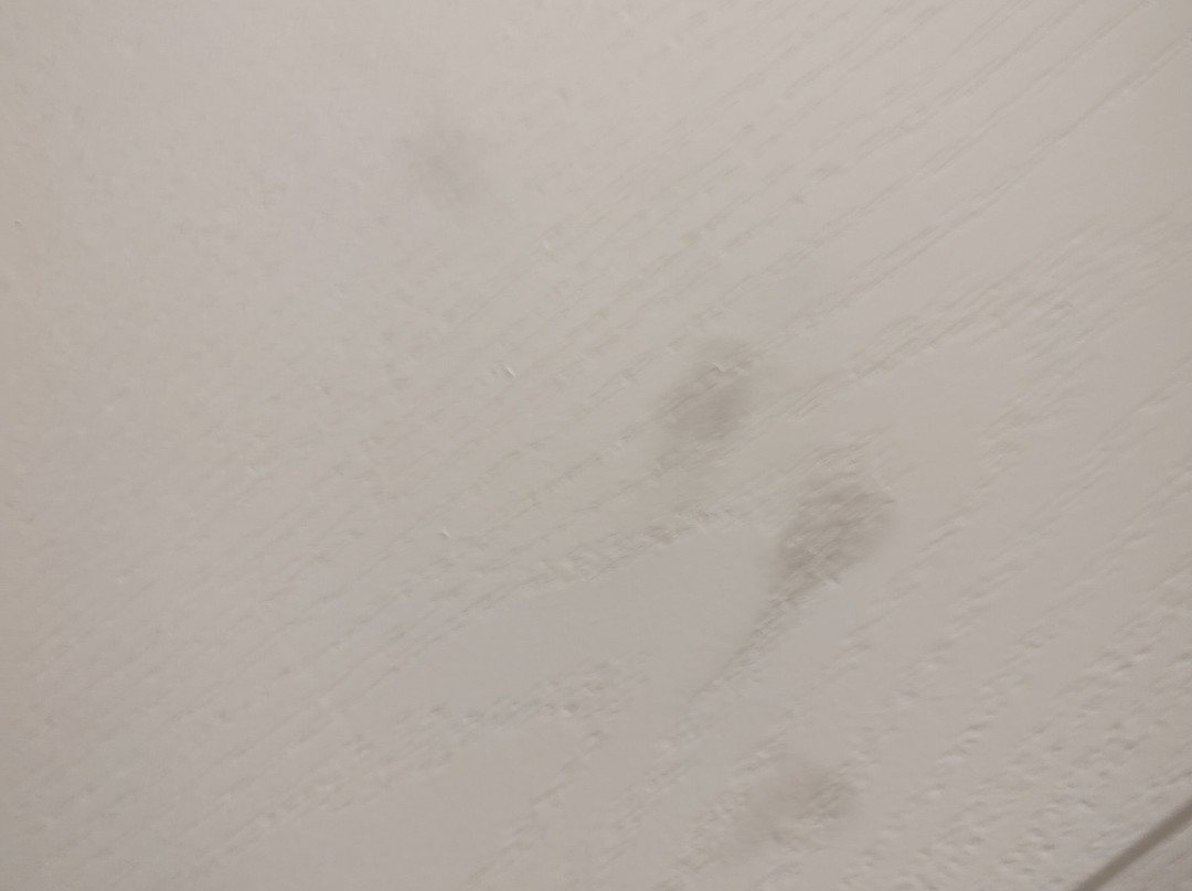 Hampton Inn Santa Rosa主图