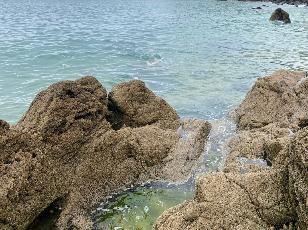 Plage de la Pissotte-Saint-Cast le Guildo必去景点