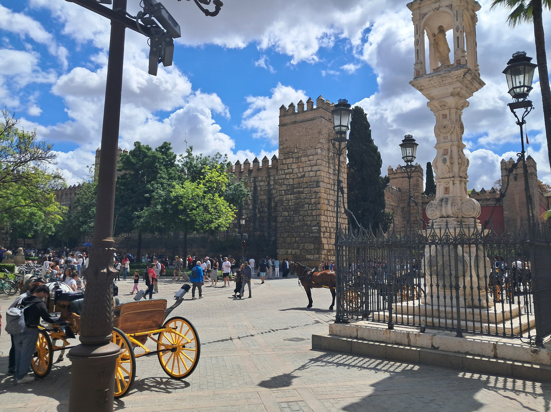 Plaza del Triunfo-塞维利亚必去景点
